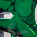 neon pulse – custom epoxy resin strat pickguard | one of one