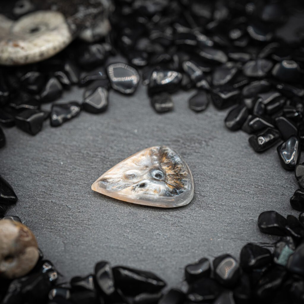 Guitar Pick Codex dsc00897